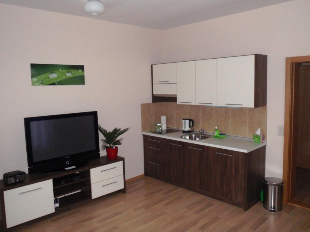 Park - Apartmany Na Prenajom Nove Mesto nad Vahom Room photo